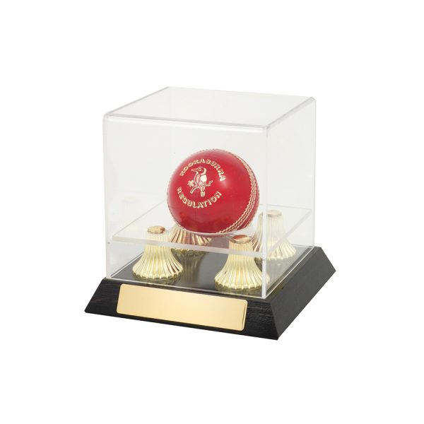 CRICKET BALL DISPLAY CASE