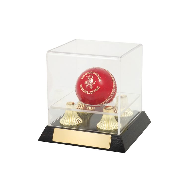CRICKET BALL DISPLAY CASE Champions Choice