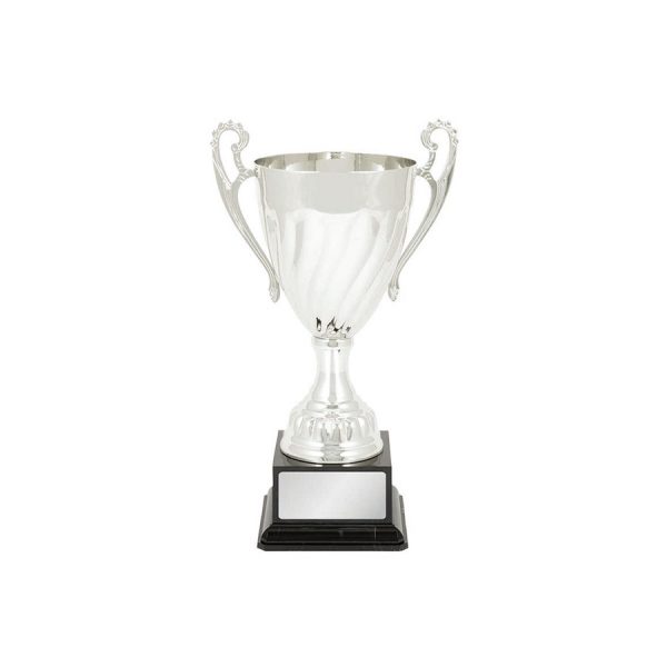 Bold Silver Cup
